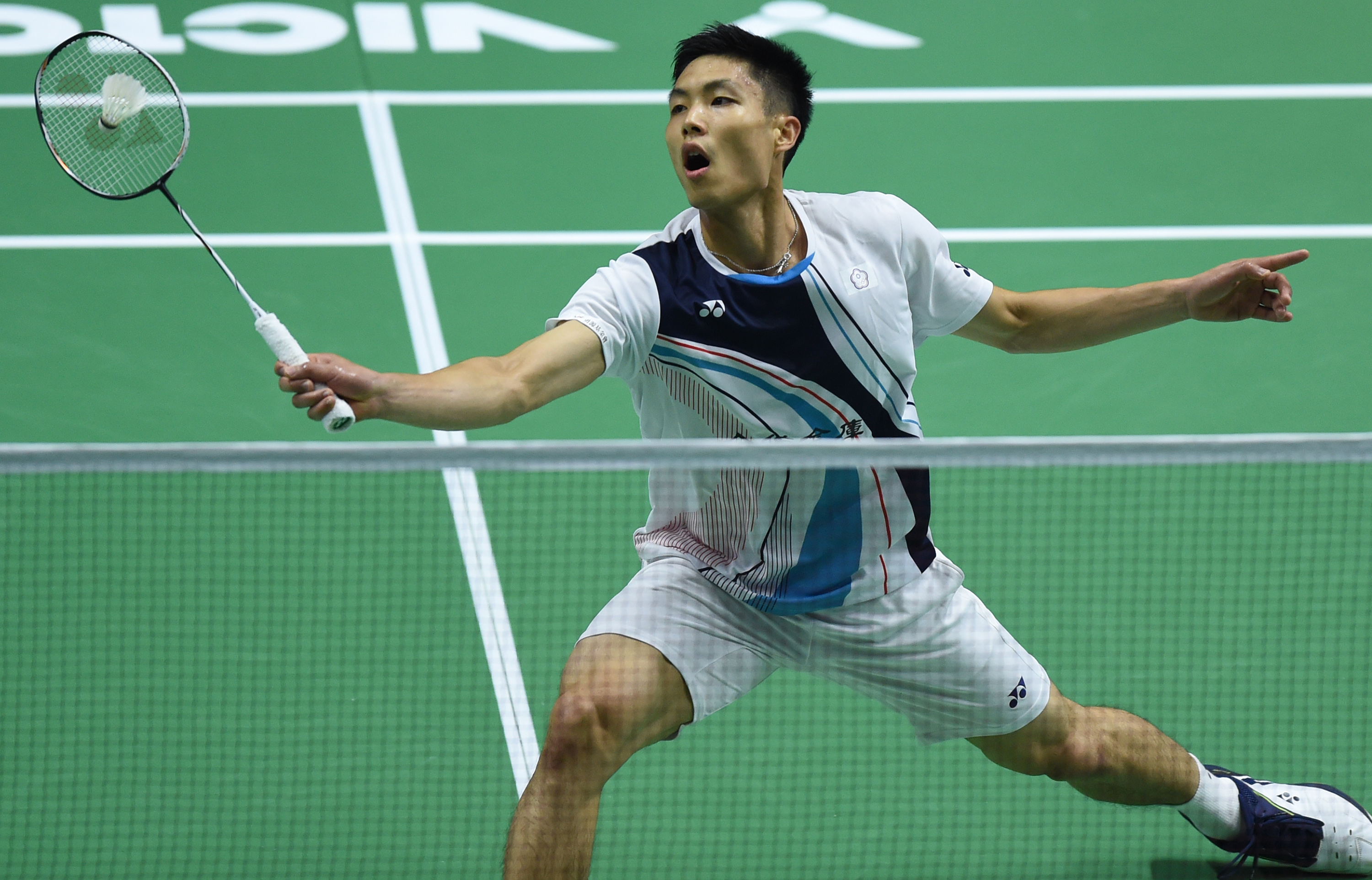 持续的生态 持续的生态